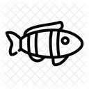 Nemo Icon