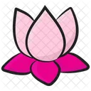 Nenufar Flor Flor Icon