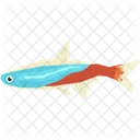 Neon fish  Icon