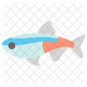 Fish Aquarium Sea Icon