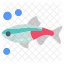 Neon Tetra Tiny Fish Neon Tetras Icon
