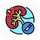 Nephrectomy Urology Prostate Icon