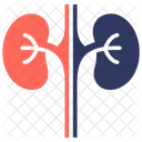 Nephrology Body Organ Kidney Icon