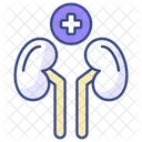 Nephrology  Icon