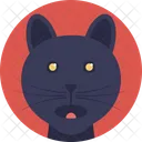 Felino Nero  Icon