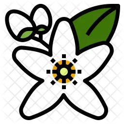 Neroli  Icon