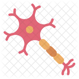 Nerve Cell  Icon