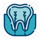 Cuidado Dental Dentista Diente Icono