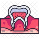 Nervio dental  Icono