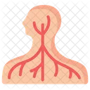 Nervous System Human Icon