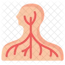 Nervous System Human Icône