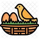 Nest Egg Bird Icon