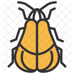 Net Icon