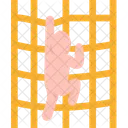 Net Climbing  アイコン