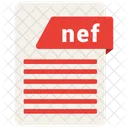 Net Format File Icon