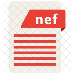 Net file  Icon