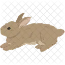 Rabbit Easter Bunny Easter Rabbit 아이콘