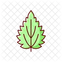 Nettle Leaf Plant Icon