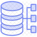 Network Database Duotone Line Icon Icon