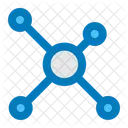 Network  Icon