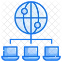 Network  Icon