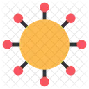 Network  Icon