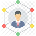 Network  Icon