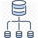 Networking Database Connection Connection Icon