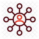 Networks  Icon