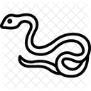 Netzpython Symbol