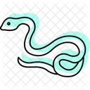 Netzpython Symbol