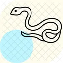 Netzpython Netzpython Reptil Symbol