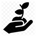 Neu bepflanzen  Symbol