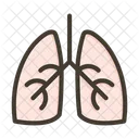 Pulmones Anatomia Organo Icono