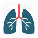 Pulmones Anatomia Organo Icono