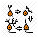 Neurogenese Neurociencia Neurologia Ícone