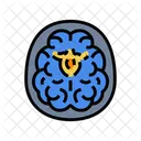 Neuroimagen  Icono