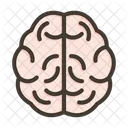 Brain Mind Human Icon