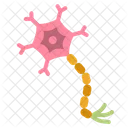Neuron  Icon