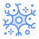 Neuron  Icon