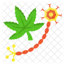 Cannabis Marihuana Droga Icono