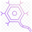 Neurone  Icône