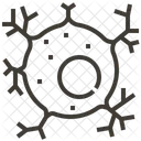 Neurone Humain Corps Icône