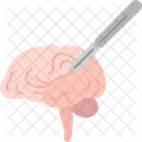 Neurosurgeon  Icon