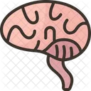 Neurosurgeon Brain Mind Icon