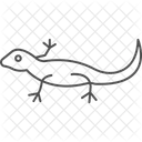 Newt Amphibian Slimy Icon