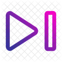 Next Button Skip Button Icon