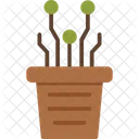 Nft Plant  Icon