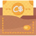 Billetera nicaragua  Icono