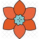 Nenuphar Flower Water Lily Floating Bloom Icon